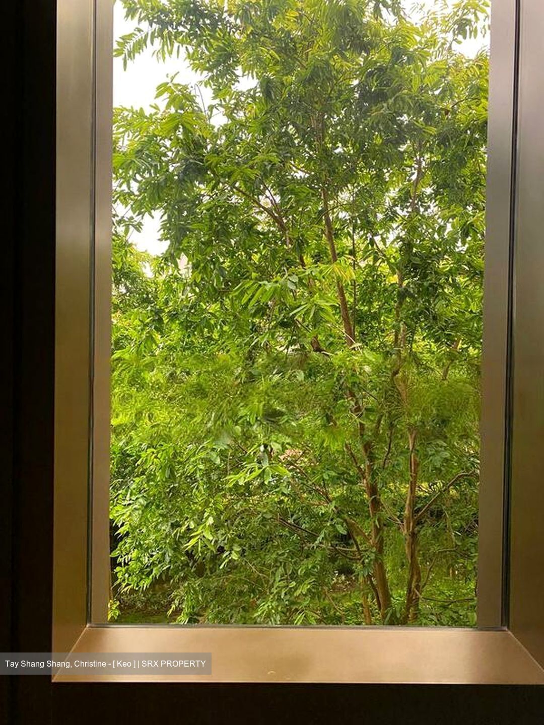 Seaside Residences (D15), Apartment #451625701